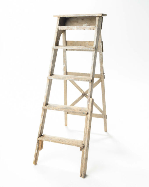 Front view of 5 Foot Ren Ladder