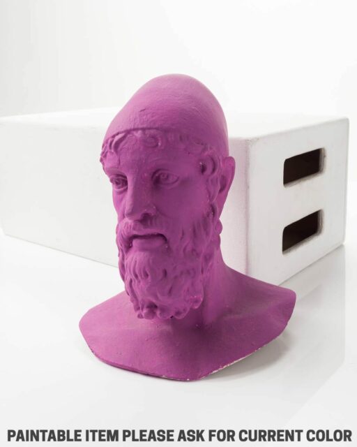 Front view of Paintable Bust