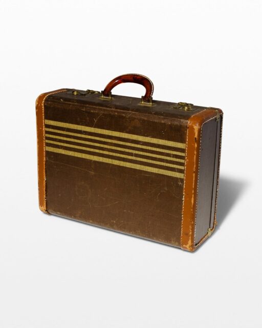 Front view of Striped Brown Leather Luggage