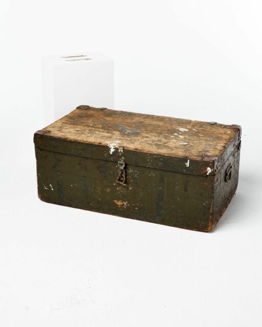 Front view of Monte Steerage Trunk