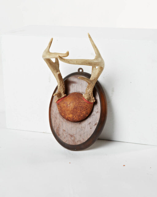 Front view of Antler Mount 3