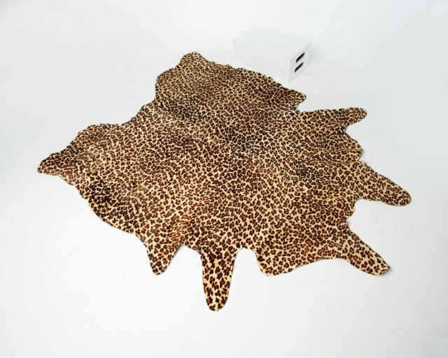 Front view of Cheetah Hide