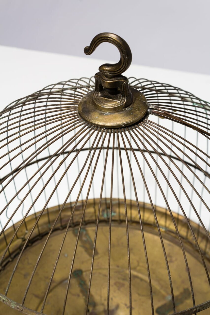 TA317 Orleans Rounded Birdcage Prop Rental - ACME Brooklyn