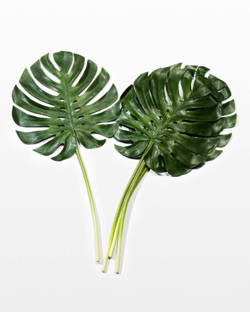 Front view of Set of 4 Faux Monstera Leaves