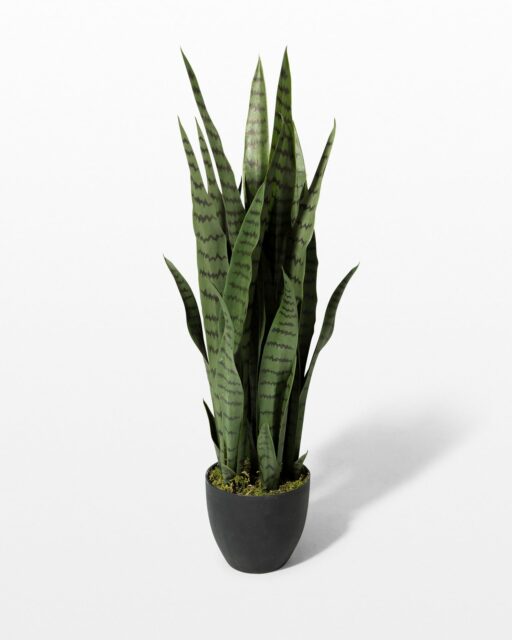 Front view of Zio Faux Snake Plant
