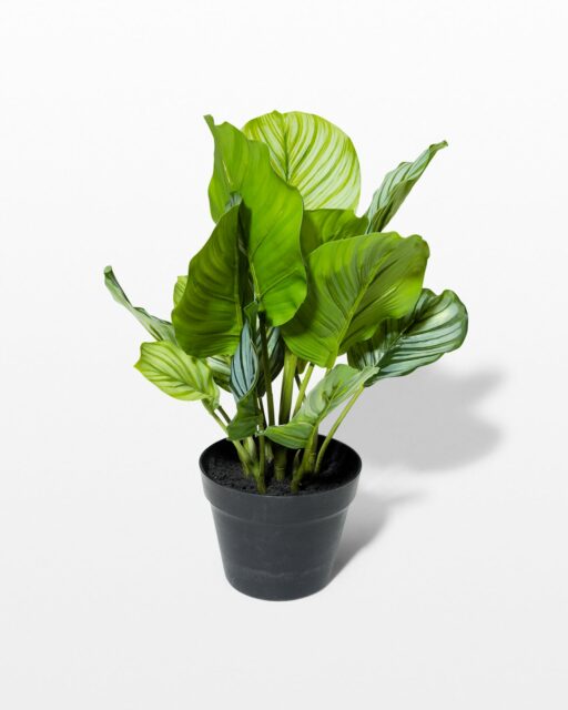 Front view of Brad Potted Faux Burdock Plant