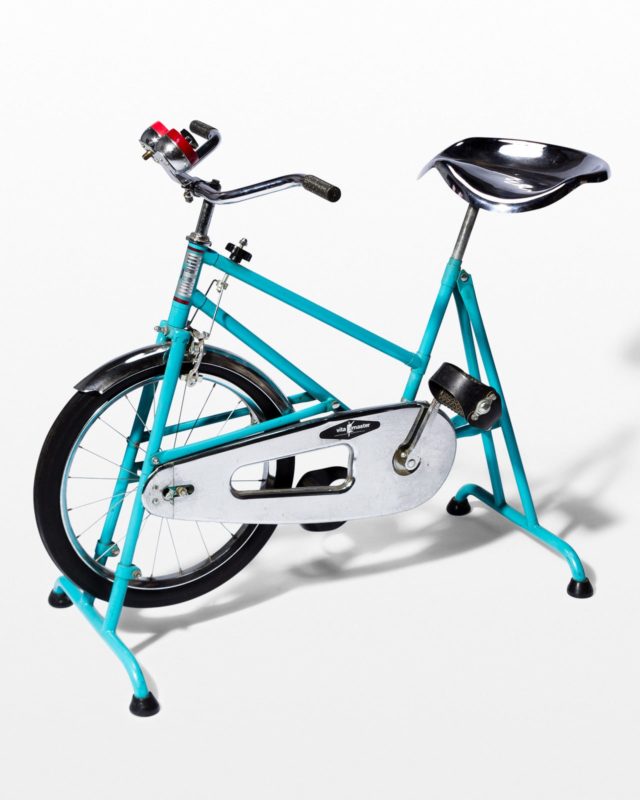 wc 4308 spin bike price