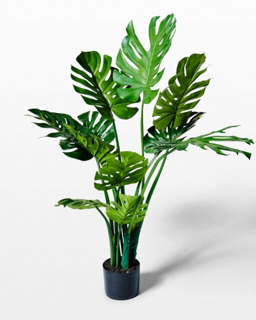 Front view of Bogo Potted Faux Monstera Plant