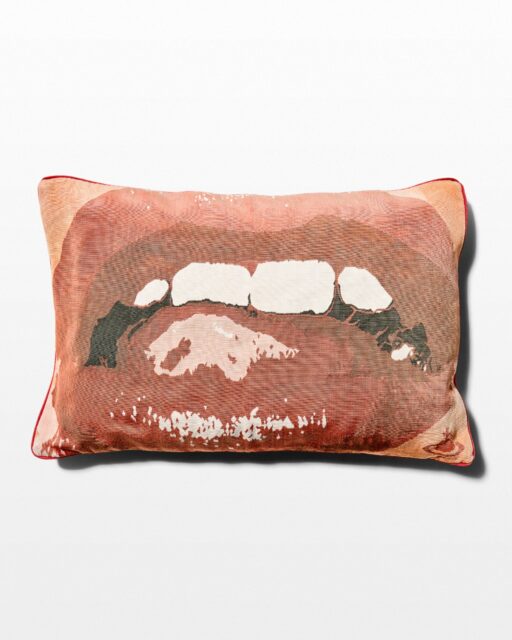 Front view of Abstract Smile Pillow