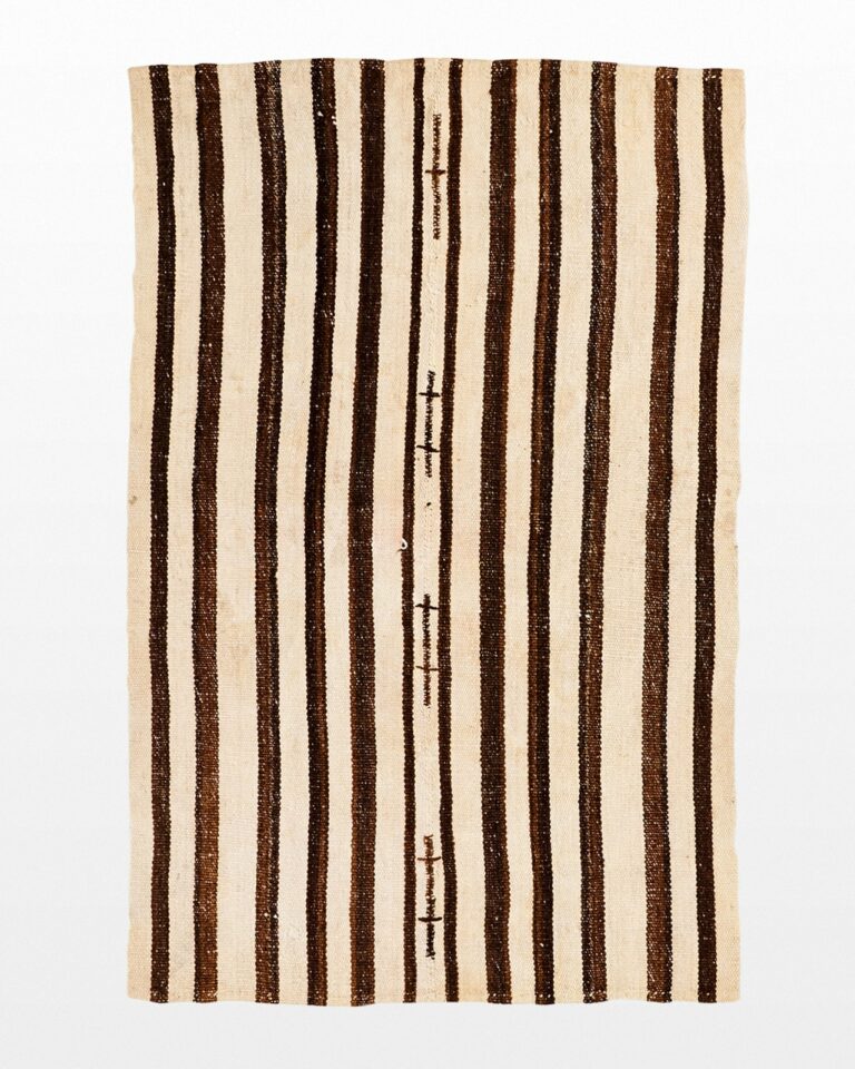 Front view of Ari Striped 4 x 6′ Foot Throw Rug