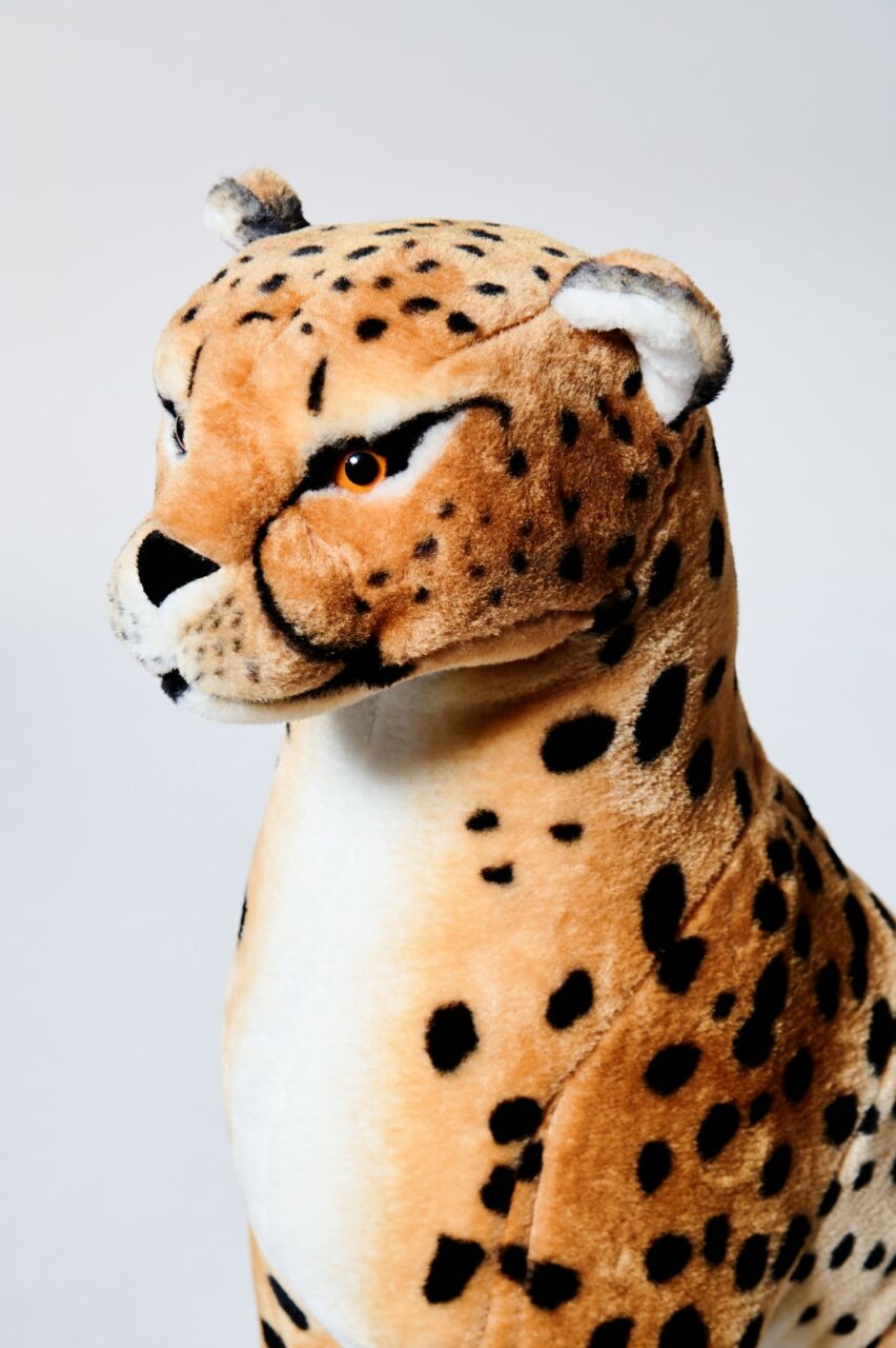 TA648 Kiki Stuffed Cheetah Prop Rental - ACME Brooklyn