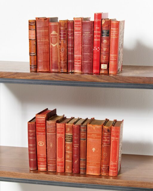 Front view of Tolstoy Assorted Vintage Red Book Set