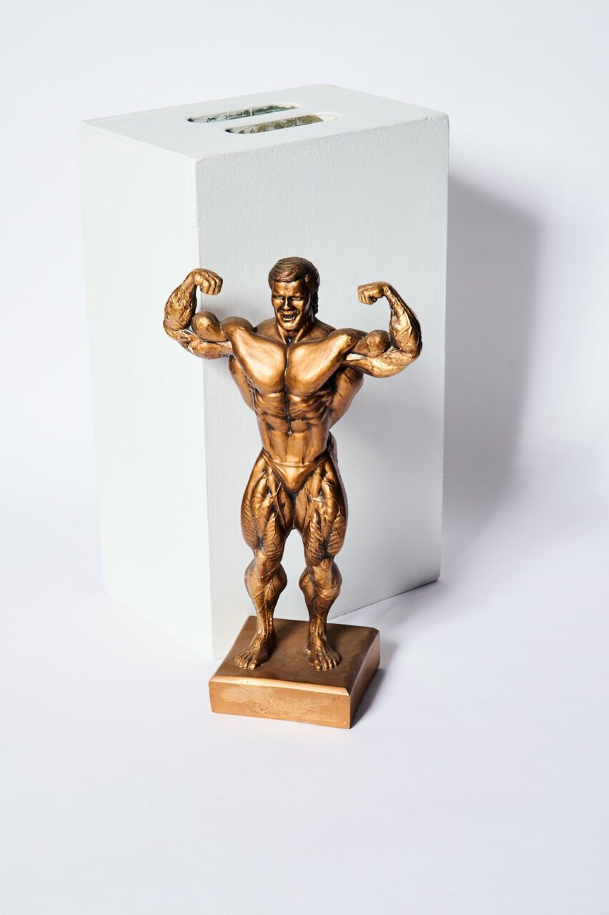 Bodybuilding Trophies - Plaques - Sculptures