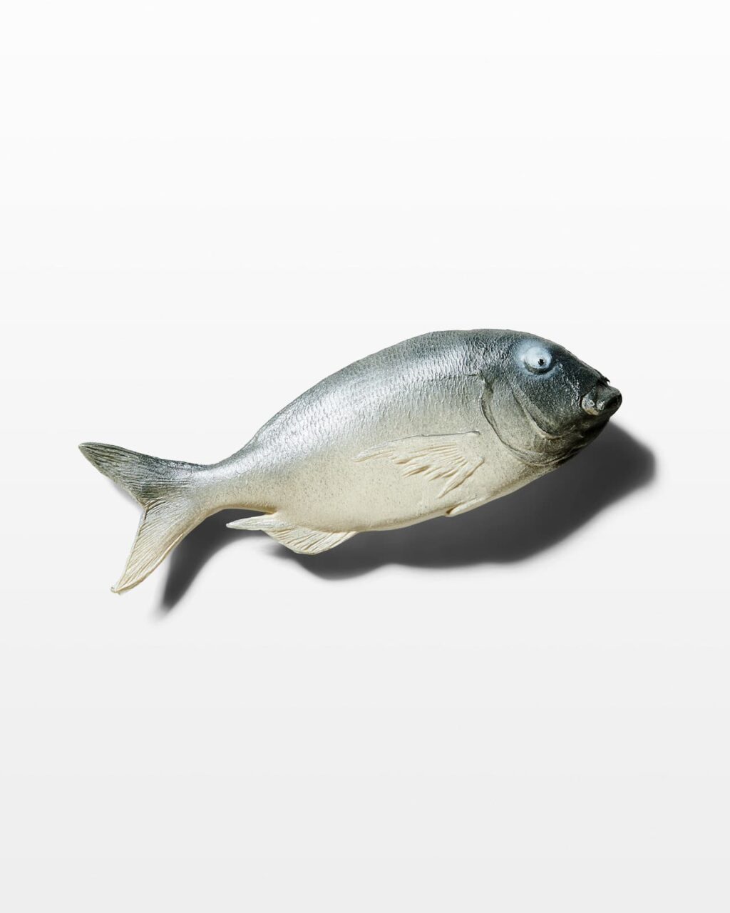 FF032 Dentex Faux Fish Prop Rental - ACME Brooklyn