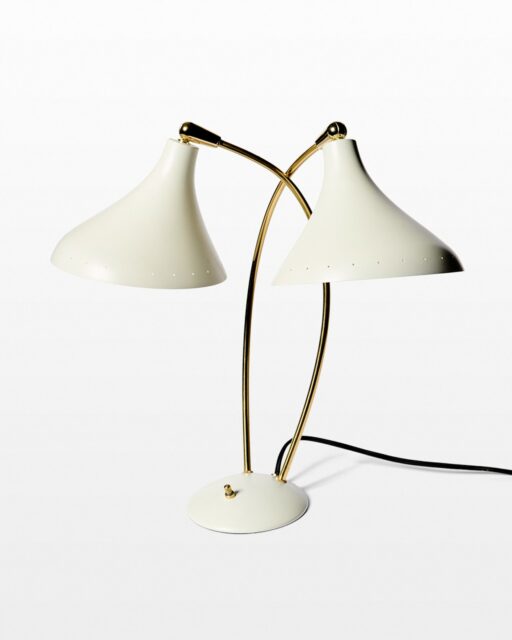 Front view of Andrus Double Task Lamp