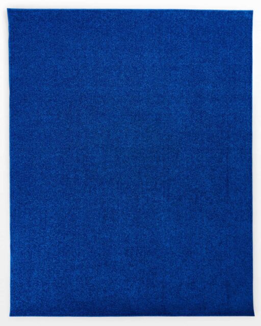 Front view of Peg Blue 8 x 10′ Foot Plush Rug