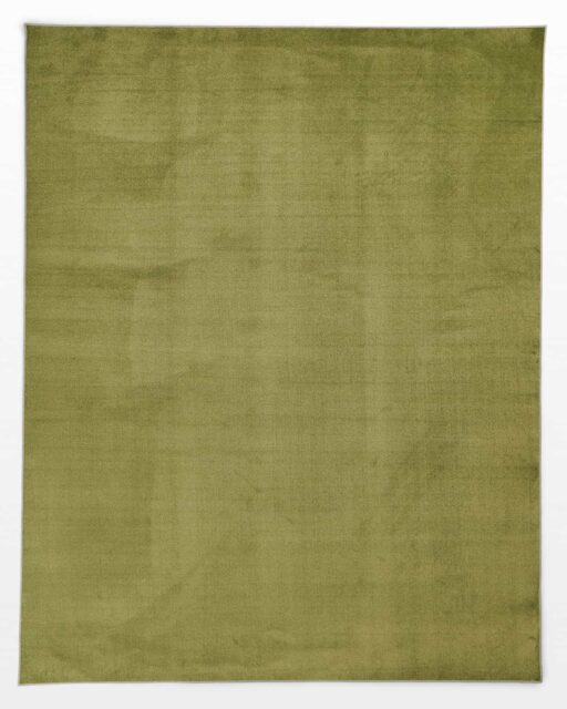 Front view of Olivia Green 8 x 10′ Foot Plush Rug