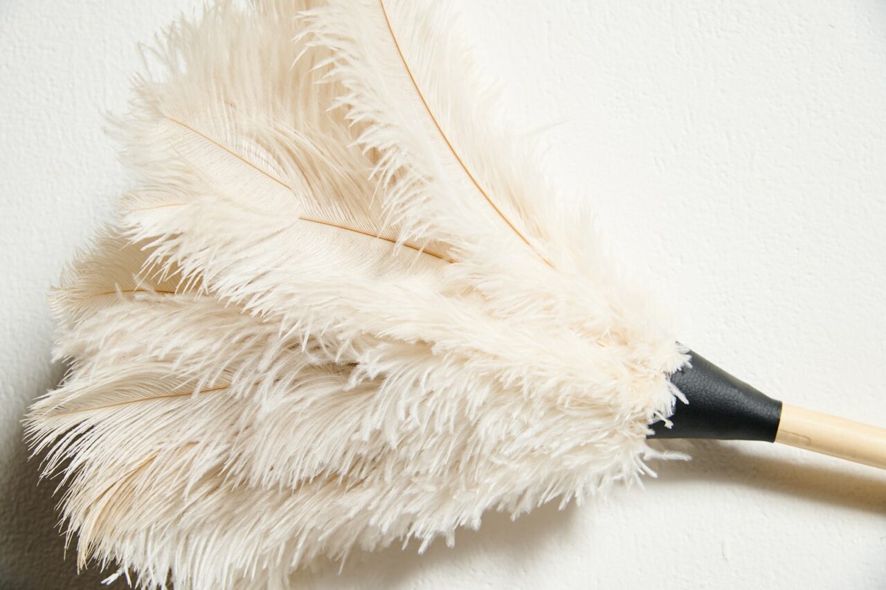 Redecker Ostrich Feather Duster Small