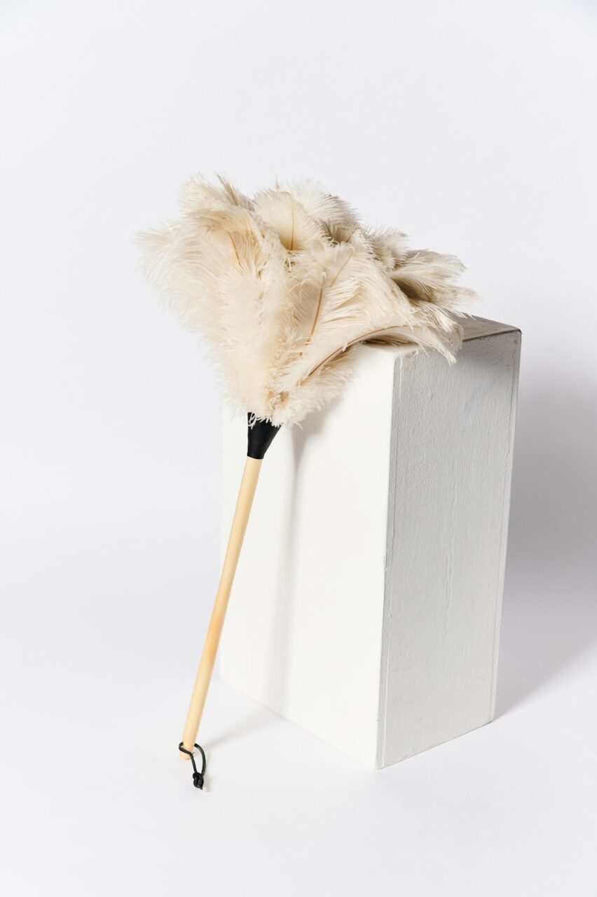 DUSTER/ Ostrich Feather, 23 – Croaker, Inc