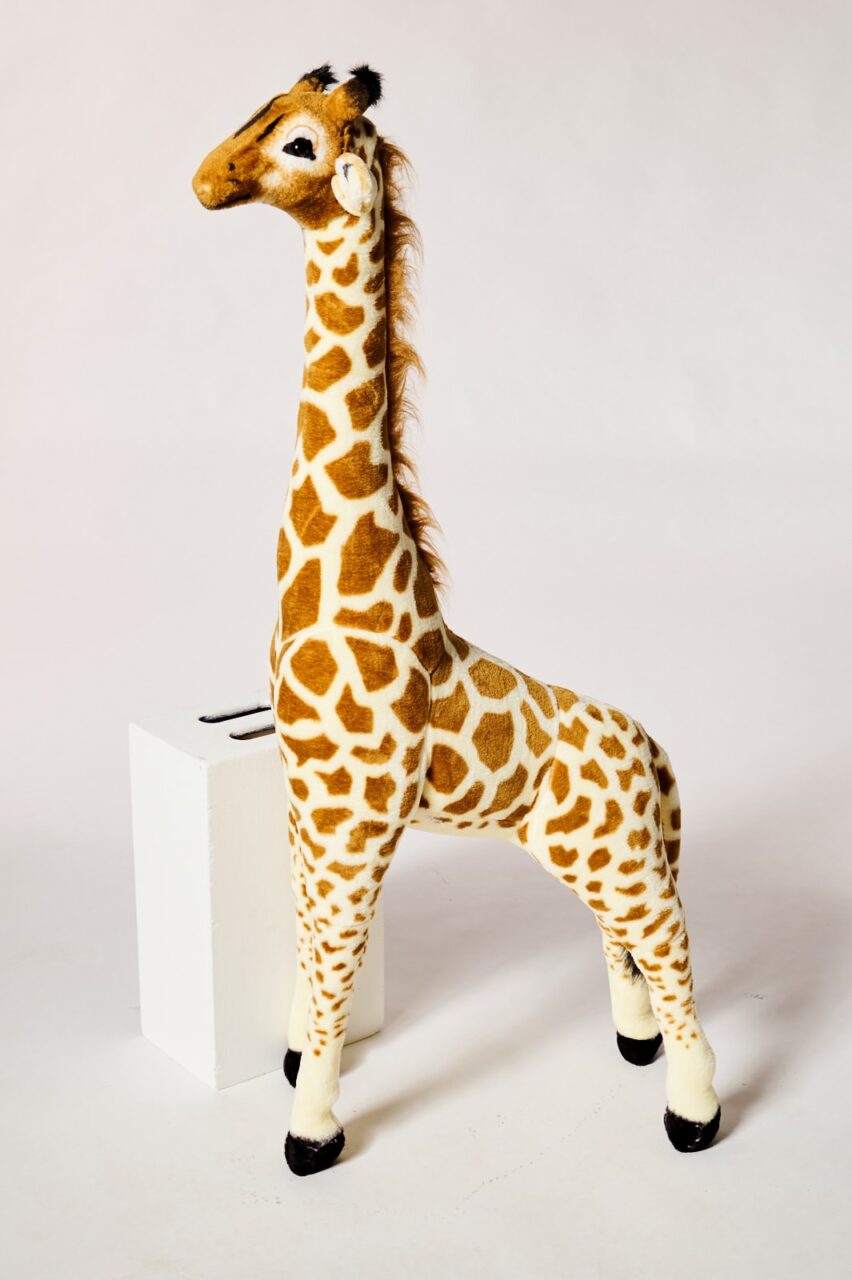 Giraffe Soft Toy (3084970)