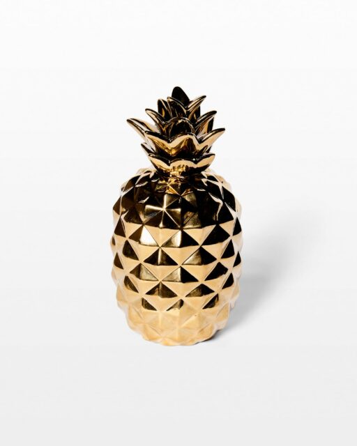 Front view of Jan Pineapple Object