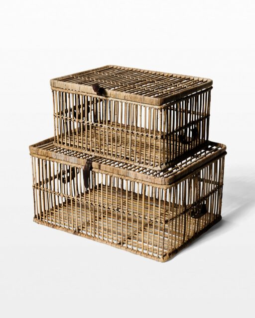 Front view of Woods Rattan Trunk Duo