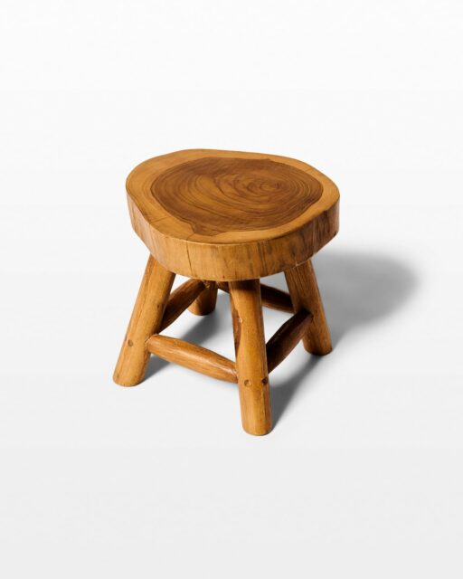 Front view of Root Mini Stool or Riser