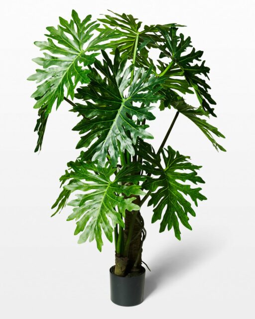 Front view of Ferry Potted Faux Monstera Plant