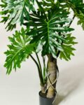 Alternate view thumbnail 1 of Ferry Potted Faux Monstera Plant