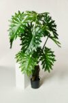 Alternate view thumbnail 2 of Ferry Potted Faux Monstera Plant