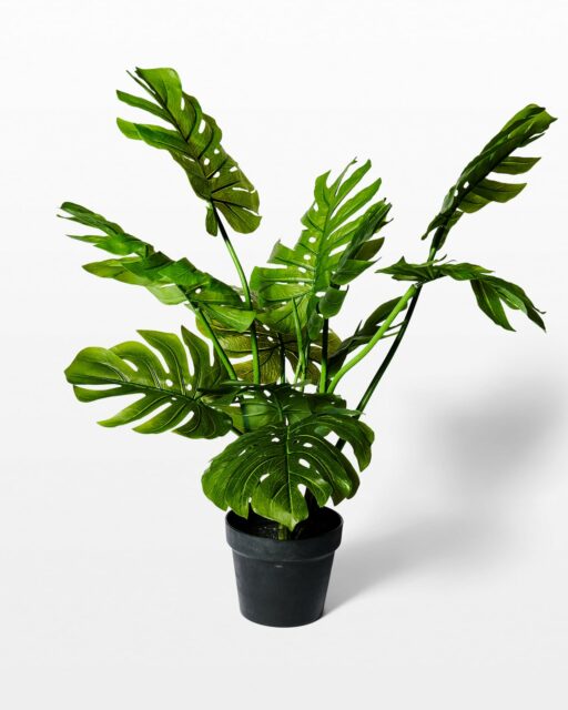 Front view of Ryde Potted Faux Monstera Plant