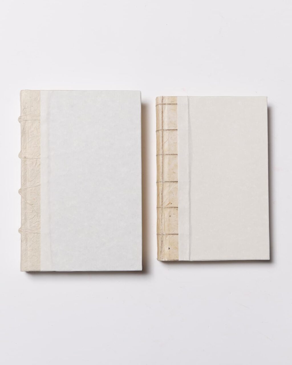 Midori MD Notebook - A5 Plain Paper