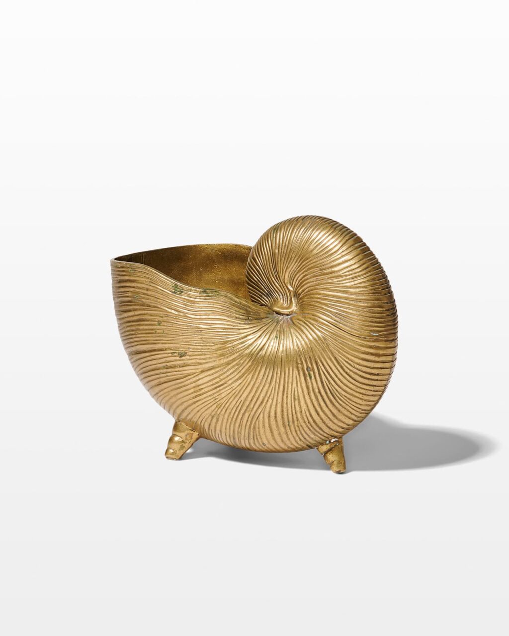 KT181 Andrina Brass Shell Vessel or Planter Prop Rental - ACME